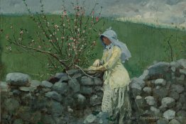 Fleurs de pêche