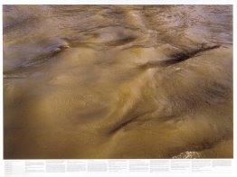 Sans titre (de la série Still Water (la Tamise de la rivière, pa
