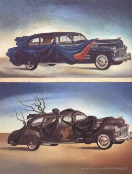 Vêtements de voiture (automobile vêtu)