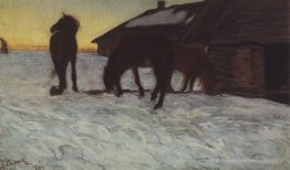 Colts à l'arrosage. Domotcanovo