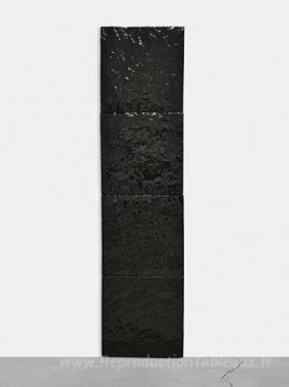 Untitled (Black Series Terra)