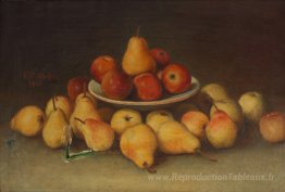 Nature morte