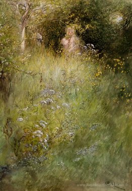 Une fée ou un kersti et une vue d'une prairie
