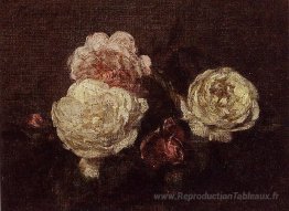Roses de fleurs