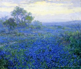 Une journée nuageuse, Bluebonnets près de San Antonio, Texas
