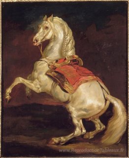 L'étalon de Napoléon, Tamerlan