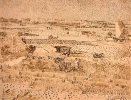 Paysage de récolte