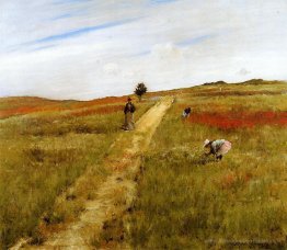 Shinnecock Hills (Shinnecock Hills automne)