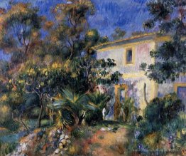 Paysage d'Alger