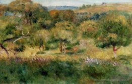 Le bord de la forêt en Bretagne