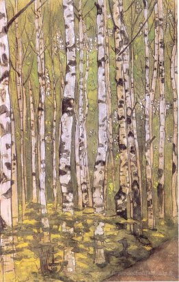 Bouleau