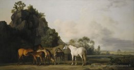 Couler des juments et des poulains