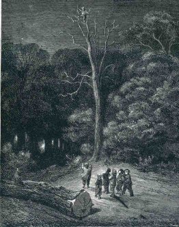 Sautez mon pouce monte au sommet d'un grand arbre pour voir ce q