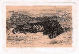 Panthère