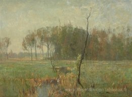 Brume d'été