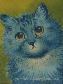 Chat bleu