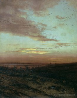 Migration du soir des oiseaux