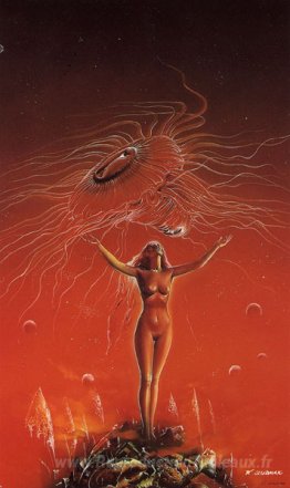 Les gros cheveux du feu