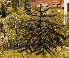 The Monkey Puzzle, Whitehouse, Irlande du Nord