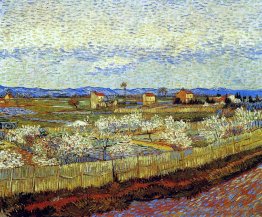 Pêches en fleur