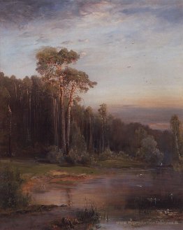 Paysage d'été avec des pins près de la rivière