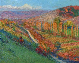 Vallée verte avec ruisseau