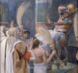 La peste des mouches