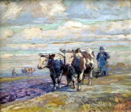 Beau paysage avec du bœuf et des agriculteurs