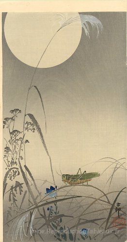 Lune et imbécile