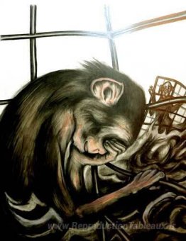 singe