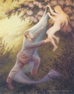 Rêve de fée