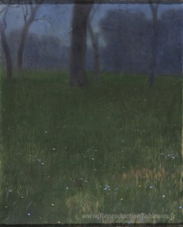 Paysage