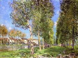 La voie des peupliers à Moret Sur Loing