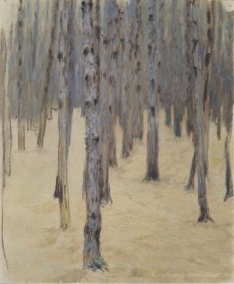 Pine Forest en hiver