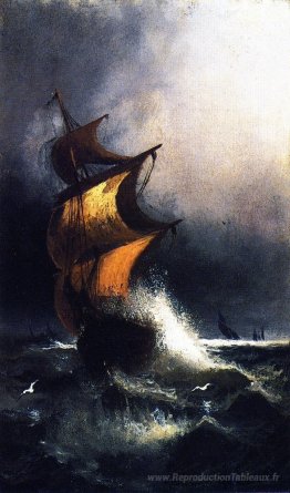 Expédier dans une tempête