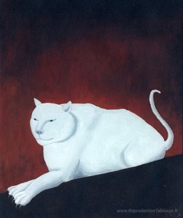 Chat blanc