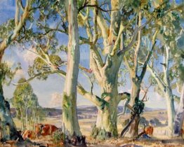 Sur le bord de la brousse