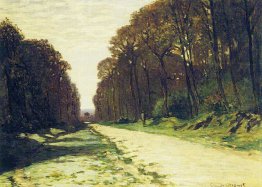 Route dans une Fontainebleau forestière