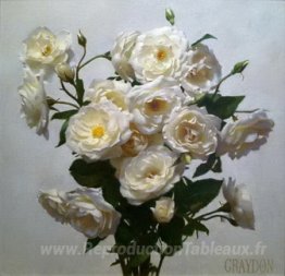 Roses blanches