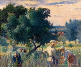 Les femmes attachant la vigne