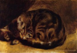 Chat endormi