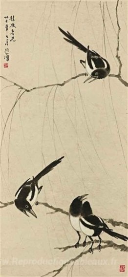 Magpies