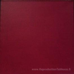 Microchromie 71, ZL Fushia