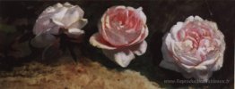 Pivoines