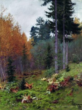 Dans la forêt à l'automne