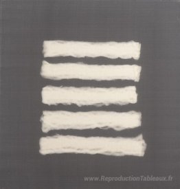 5 morceaux de coton whool