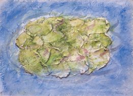 Étang de grenouille
