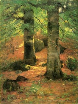 Beeches Vernon