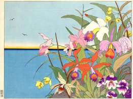Les fleurs des iles laintaines. Mers de Sud