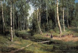 Dans la forêt de bouleau